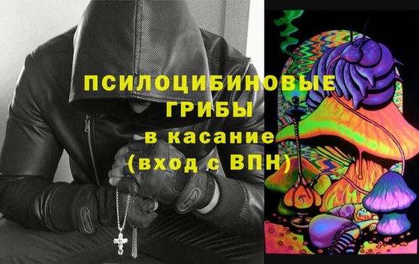 дмт Алзамай