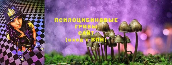 дмт Алзамай