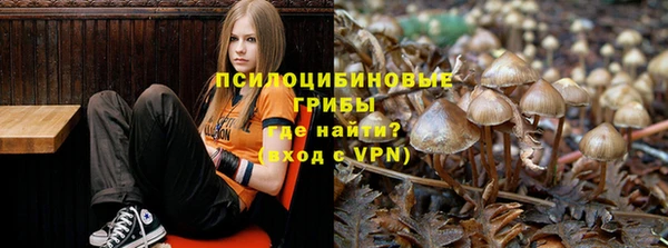 бутират Алексеевка