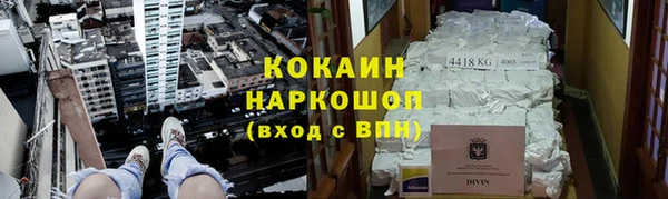 дмт Алзамай