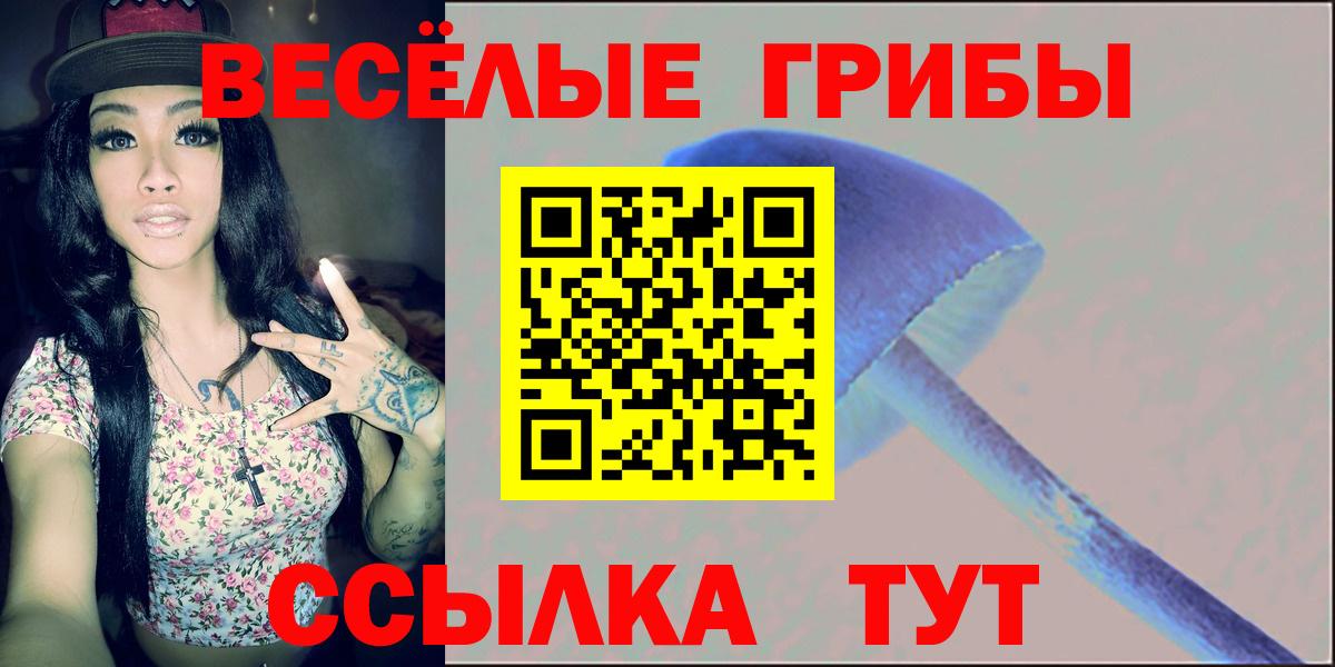 Галлюциногенные грибы Cubensis  Псилоцибиновые грибы прущие грибы  Вход с VPN  Одинцово 